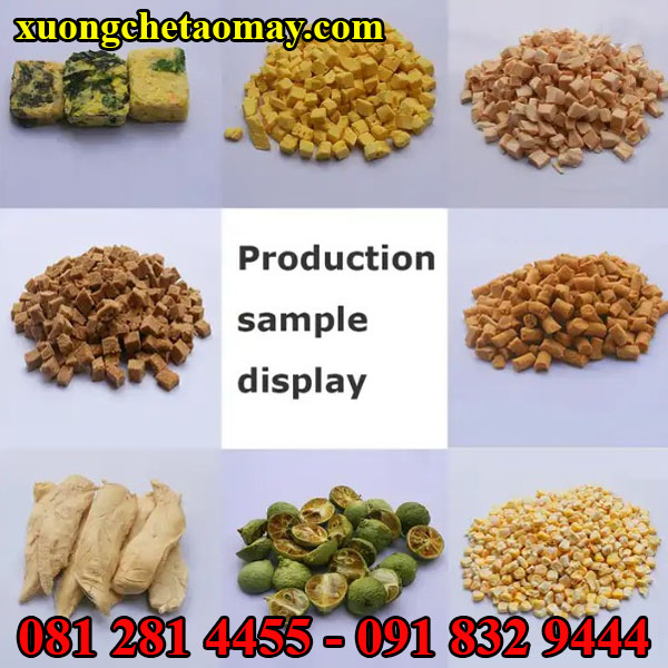 Máy sấy lạnh thăng hoa chính hãng